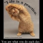 Life is a practice